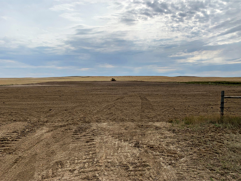 Salix Resource Management site photo of grasslands area where Salix undertook remediation